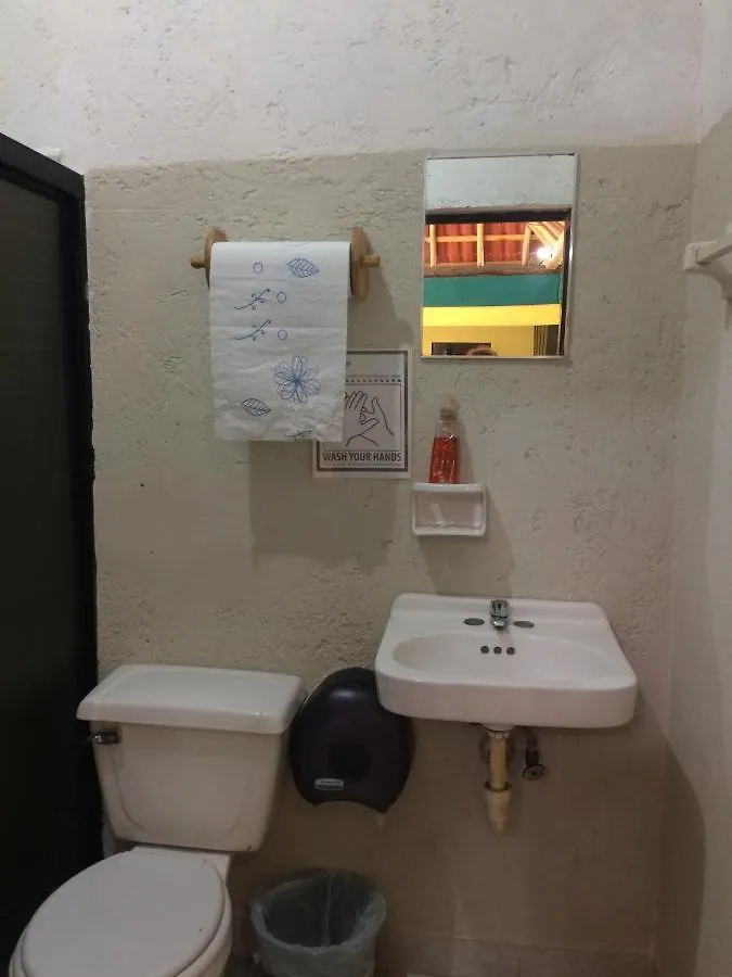 Amigos Hostel Cozumel
