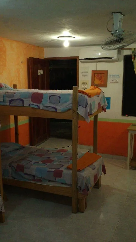 Amigos Hostel Cozumel