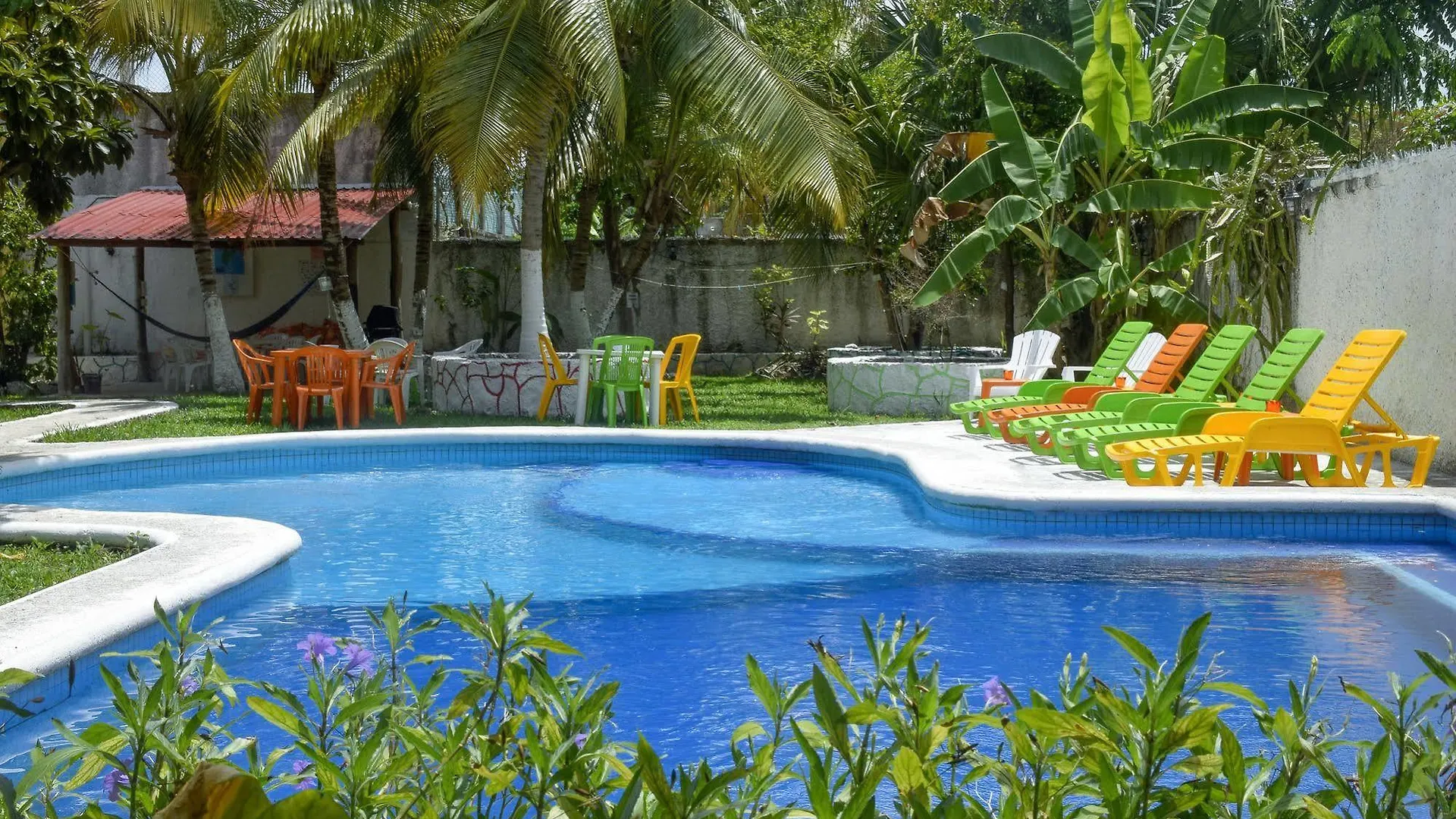 Amigos Hostel Cozumel location